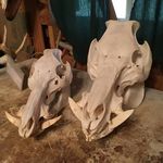 Eric Raab - @ericraab - Instagram