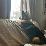 Erik Randall - Facebook