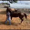 Erick Rascon - @erickrascon09 - TikTok