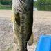 Eric Ray - Facebook