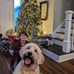 Erik Read - Facebook
