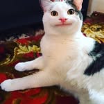 Erik Reid - @erikreid79 - Instagram
