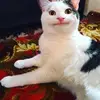 Erik Reid - @erikreid2 - TikTok