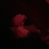 E.r.i.k.a_R.o.b.e.r.s.o.n - @erika.roberson - TikTok