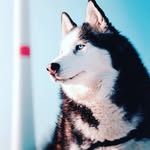 Erik Rockey - @erikrockey - Instagram