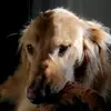 Erik Clark - @erik.ryan - TikTok