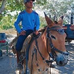 Erik Ryan - @e.r_ryan_567 - Instagram