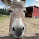 Alf-Erik Rydberg - @affe_ryd - Instagram