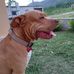 Erick Saenz - Facebook