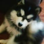eriksaenz_12 - @eriksaenz_12 - Instagram