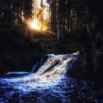 Erik Sandell - Facebook