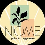 Erik Sorby Sandell - @niomebyggnation - Instagram