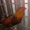Erick Santamaria - @eriksantamaria390 - TikTok