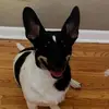 eriksantamaria642 - @eriksantamaria642 - TikTok