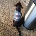 Erik Schiller - @schillererik53 - Instagram
