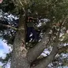 Eric Serrano - @ericserrano5628291 - TikTok