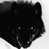 erik__serrano - @erik__serrano - TikTok