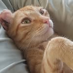 Illıllı Erick Francisco Illıllı - @erik_serrano4 - Instagram