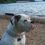 Eric Shapiro - @badazzdiver - Instagram