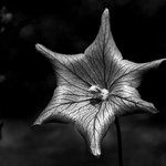 Erik Shields - @erikshields - Instagram