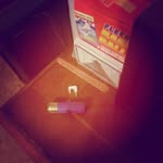 erik short - @shorterik - Instagram