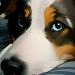 Erik Slater - @jinx_the_awesome_aussie - Instagram