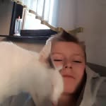 Erik Sokol - @erik_eierkopf - Instagram