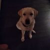Heidi - @erik.sondergaard - TikTok