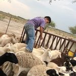 Erik Sotelo - @alejandrosotelo10 - Instagram