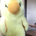 Poul Erik Steffensen - @steffensenpoulerik - Instagram