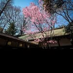 @erik_stephens - Instagram