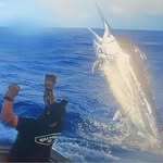 Eric Strauss - @fishermen333 - Instagram