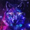 Eric Strauss - @ericstrauss4 - TikTok