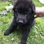 Erik Strömberg - @erik__stromberg - Instagram