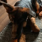 Erik Strömberg - Facebook