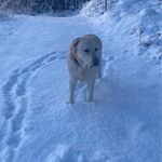 Sven-erik Strömberg - @svenerik.stromberg - Instagram