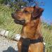 Erik Sunde - Facebook