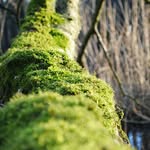 Eric Schoppe + Lara Sydow - @poesie_wie_noch_nie - Instagram