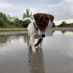 Erik Teichmann - Facebook
