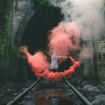 Erik Thiel - @erikthiel219 - Instagram