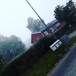 Erik Thorsén - @erikthorsen09 - Instagram