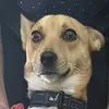 Erik.thune - @erik.thune - TikTok