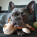 Erik Ulrich - Facebook