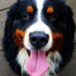 Erik Ulrich - @schablonsky2003 - Instagram
