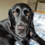 Erik Vernon - @erik.vernon - Instagram