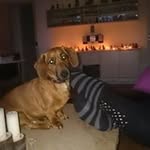 Carl Erik Vestergaard - @carlerikvestergaard - Instagram