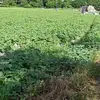Erik Viloria - @erik.viloria - TikTok