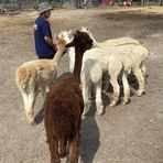 Eric Vinh - Facebook