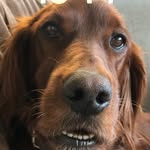 Bjørn Erik Baxter-Vinje - @superduper_ronja - Instagram