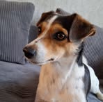 Erik Voigt - Facebook
